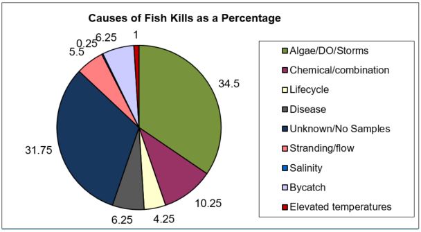 Causes of fish kills graph.JPG
